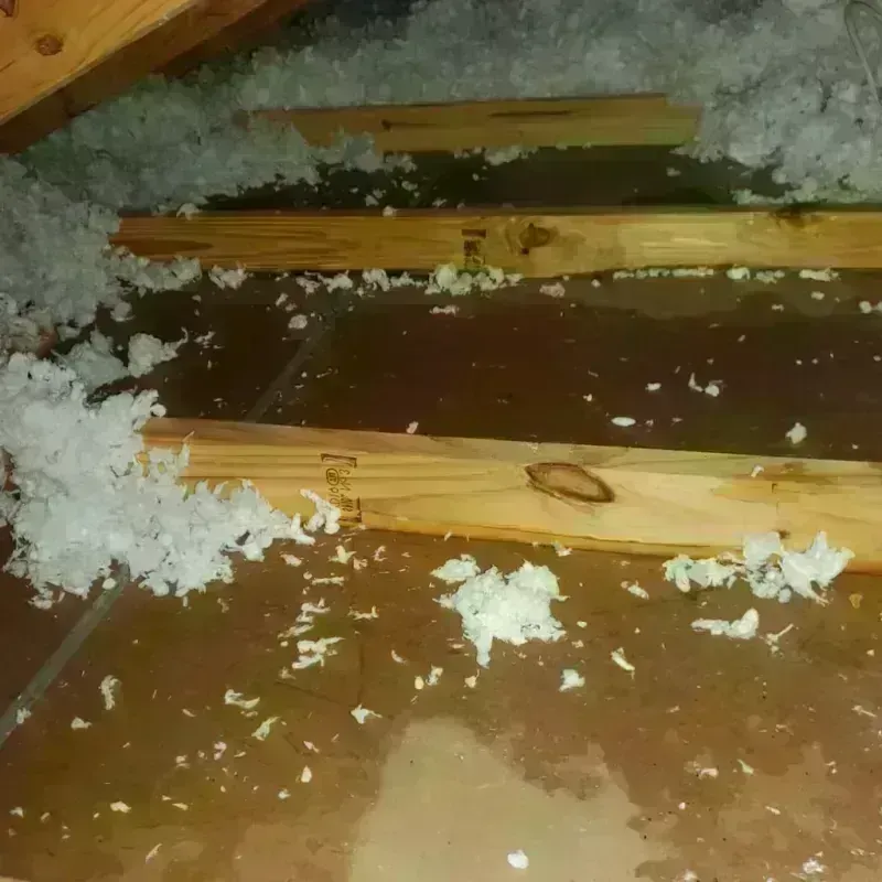 Attic Water Damage in Jeannette, PA